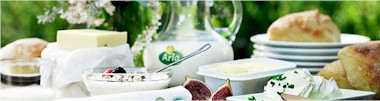 Link to Arlo Foods Website