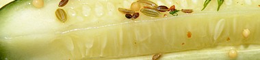Link to Cool Crisp Website