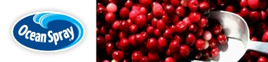 Link to Ocean Spray Website