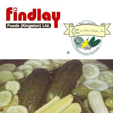 coolcrisp-findlay