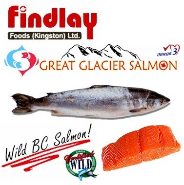 great-glacier-findlay