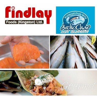 kitikmeot-findlay