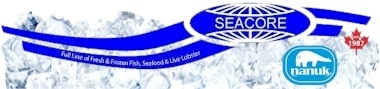 Link to Seacore Website