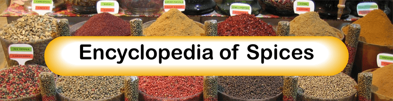 Title Image for Findlay Foods Encyclopedia of Spice Article