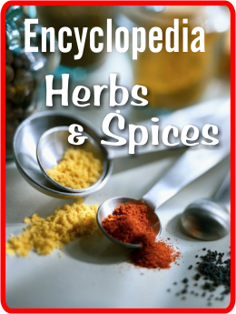 encycl-spices2