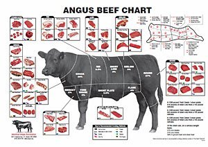 the art of beef cutting pdf download